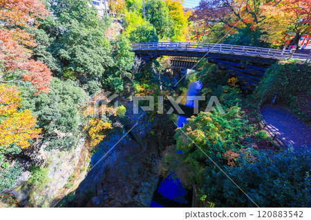 Autumn Saruhashi Bridge and Waterway Bridge 1 Autumn Saruhashi Bridge and Waterway Bridge 1 120883542