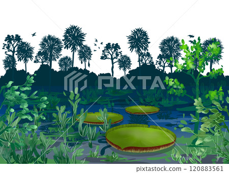叢林自然插畫 120883561