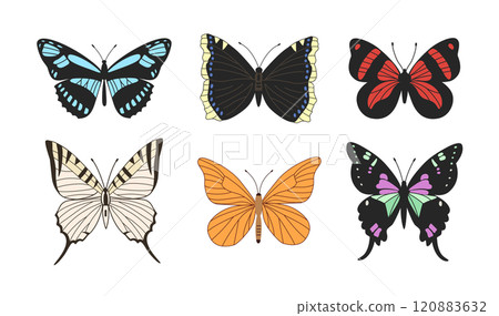 Set of colorful realistic butterflies. Tropical butterflies isolated on white background. Set of colorful realistic butterflies. Tropical butterflies isolated on white background. 120883632