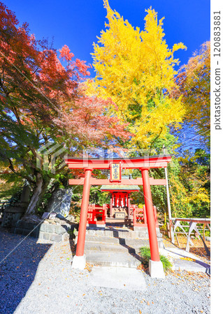 Sannou Palace in Autumn (Vertical) 120883881