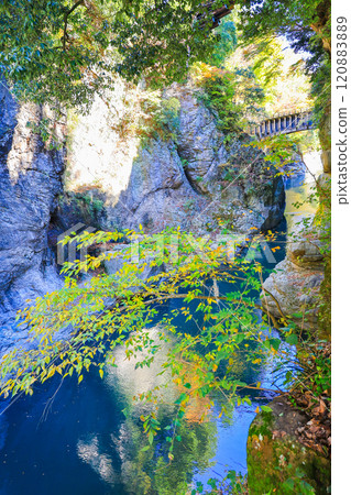 Saruhashi Bridge and Waterway Bridge over the Katsura River (vertical) 120883889