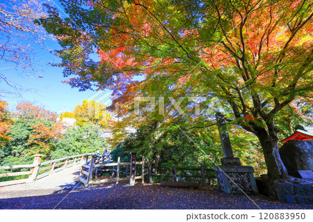 Autumn's scenic spot: Saruhashi Bridge 120883950