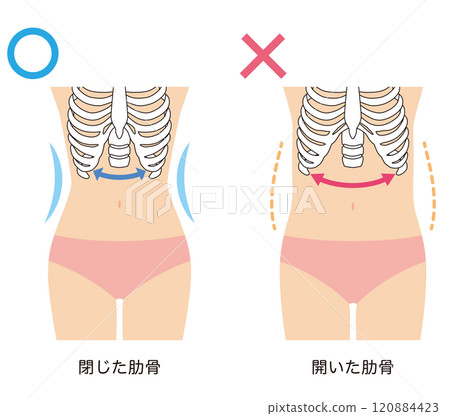 開放式肋骨 封閉式肋骨 120884423