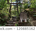 Torii in the mountains 120885162