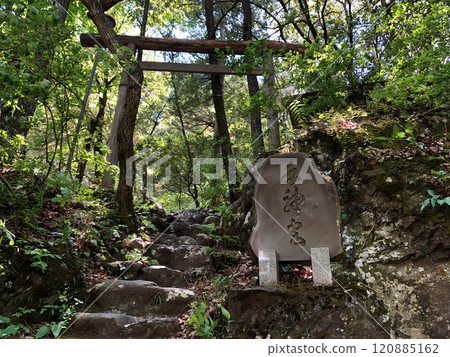 鳥居在山上 鳥居在山上 120885162