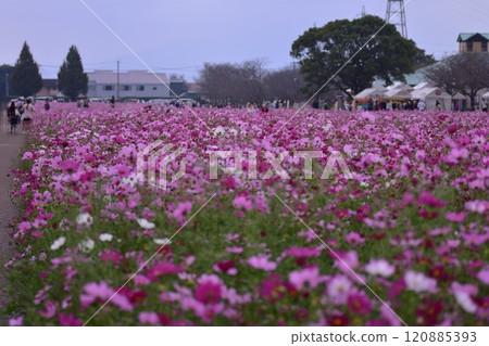 麒麟啤酒廠工廠的宇宙 120885393