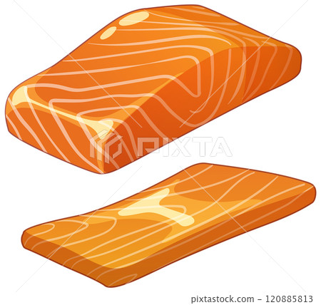 Fresh Salmon Fillets Illustration Fresh Salmon Fillets Illustration 120885813