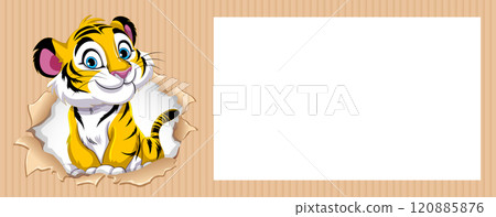Cute Tiger Peeking Through Paper 120885876