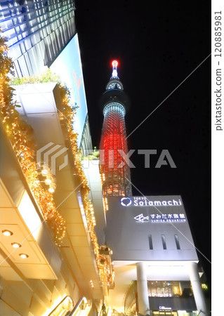 Tokyo Sky Tree and Sumida Aquarium at night 120885981