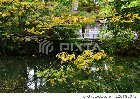 Ise Shrine Geku in late autumn Ise Shrine Geku in late autumn 120886072