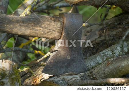 Old rusty axe embedded in tree trunk during forest chopping on a sunny day Old rusty axe embedded in tree trunk during forest chopping on a sunny day 120886137