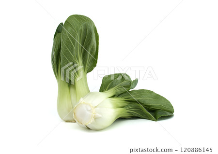 Fresh Bok Choy Isolated on White Background for Healthy Eating 120886145