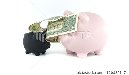 Two Piggy Banks with Dollar Bill Symbolizing Financial Growth and Savings Two Piggy Banks with Dollar Bill Symbolizing Financial Growth and Savings 120886147