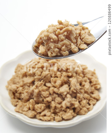 白色背景上放置的一盤大豆肉 120886499