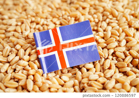 Iceland flag on grain wheat, trade export and economy concept. 120886597
