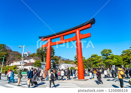 [Kanagawa Prefecture] Tsurugaoka Hachimangu Shrine during New Year's under a beautiful blue sky 120886816