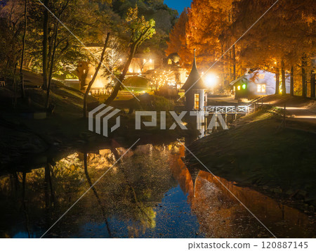 Akebono Children's Forest Park Autumn Light-up 120887145