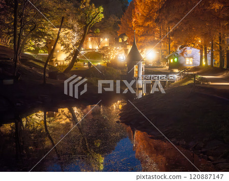 Akebono Children's Forest Park Autumn Light-up 120887147