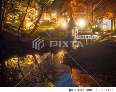 Akebono Children's Forest Park Autumn Light-up 120887148