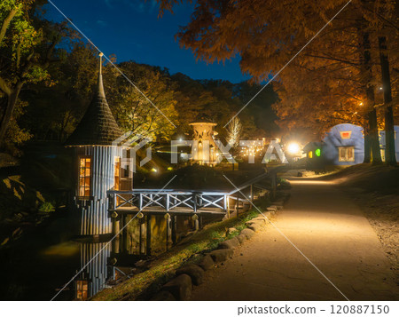 Akebono Children's Forest Park Autumn Light-up Akebono Children's Forest Park Autumn Light-up 120887150