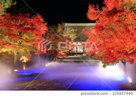 【京都府】仁和寺秋葉雲海點燈(近藤) 【京都府】仁和寺秋葉雲海點燈(近藤) 120887440