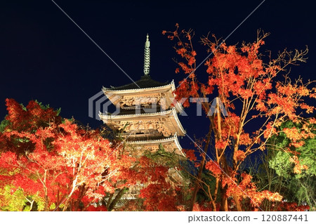 [京都府]仁和寺秋葉燈飾（五層寶塔） 120887441