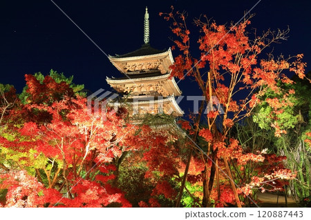 [京都府]仁和寺秋葉燈飾（五層寶塔） 120887443