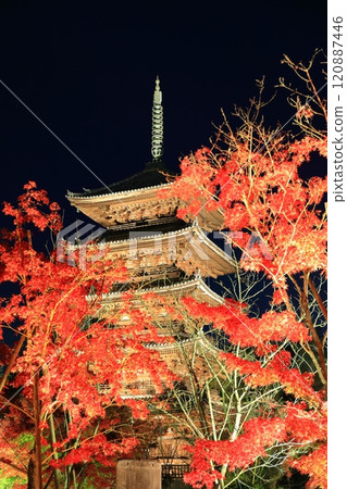 [Kyoto Prefecture] Ninnaji Temple Autumn Leaves Illumination (Five-story Pagoda) 120887446