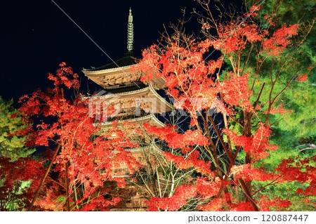 [京都府]仁和寺秋葉燈飾（五層寶塔） 120887447