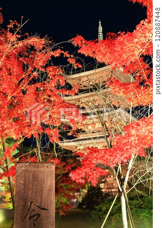 [Kyoto Prefecture] Ninnaji Temple Autumn Leaves Illumination (Five-story Pagoda) 120887448