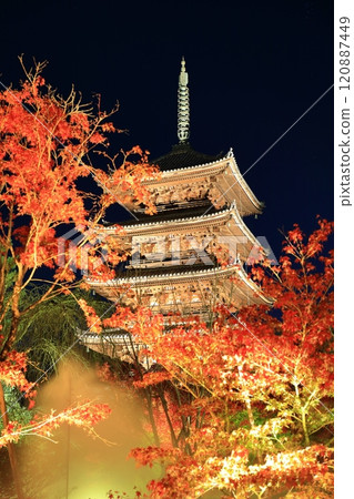 [Kyoto Prefecture] Ninnaji Temple Autumn Leaves Illumination (Five-story Pagoda) 120887449