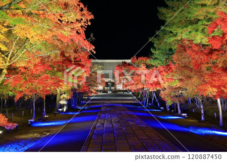 [Kyoto Prefecture] Ninnaji Temple Autumn Leaves and Sea of Clouds Illumination (Kondo Hall) 120887450