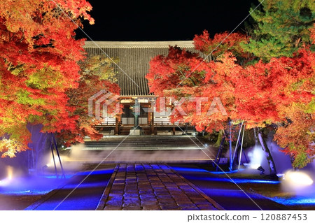 [Kyoto Prefecture] Ninnaji Temple Autumn Leaves and Sea of Clouds Illumination (Kondo Hall) 120887453