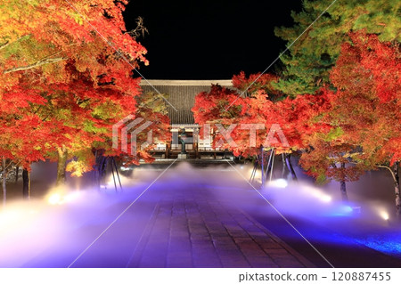 【京都府】仁和寺秋葉雲海點燈（近藤） 120887455