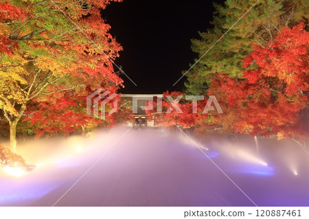 [Kyoto Prefecture] Ninnaji Temple Autumn Leaves and Sea of Clouds Illumination (Kondo Hall) 120887461