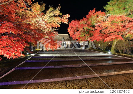 [Kyoto Prefecture] Ninnaji Temple Autumn Leaves and Sea of Clouds Illumination (Kondo Hall) 120887462