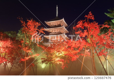 [Kyoto Prefecture] Ninnaji Temple Autumn Leaves Illumination (Five-story Pagoda) 120887476
