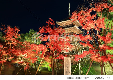 [京都府]仁和寺秋葉燈飾（五層寶塔） 120887478