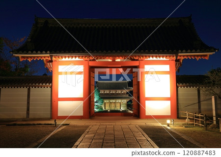 [Kyoto Prefecture] Autumn foliage illumination at Ninna-ji Temple (Chumon and Niomon Gates) 120887483