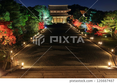 [Kyoto Prefecture] Autumn leaves illumination at Ninnaji Temple (Niomon Gate) 120887487