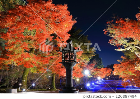 【京都府】仁和寺秋葉雲海點燈（中門） 120887494