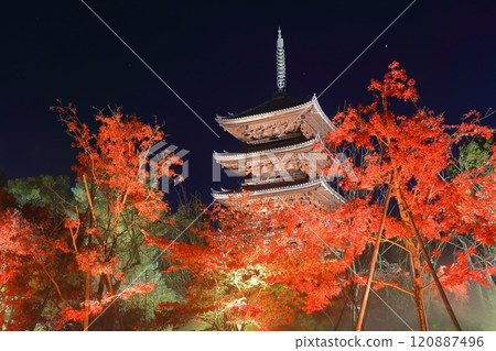 [Kyoto Prefecture] Ninnaji Temple Autumn Leaves Illumination (Five-story Pagoda) 120887496
