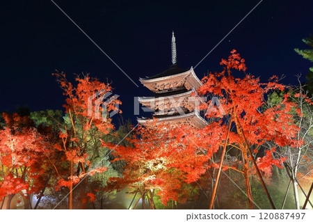 [Kyoto Prefecture] Ninnaji Temple Autumn Leaves Illumination (Five-story Pagoda) 120887497
