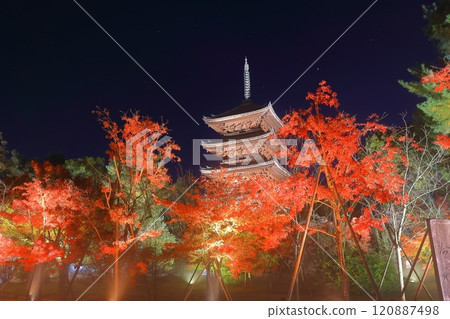 [Kyoto Prefecture] Ninnaji Temple Autumn Leaves Illumination (Five-story Pagoda) 120887498