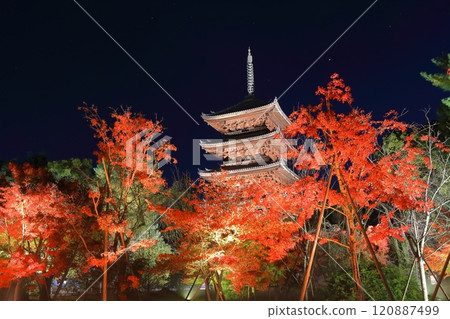 [Kyoto Prefecture] Ninnaji Temple Autumn Leaves Illumination (Five-story Pagoda) 120887499