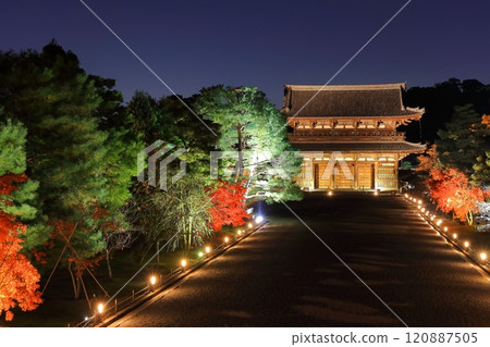 [京都府] 仁和寺秋葉彩燈（仁王門） 120887505