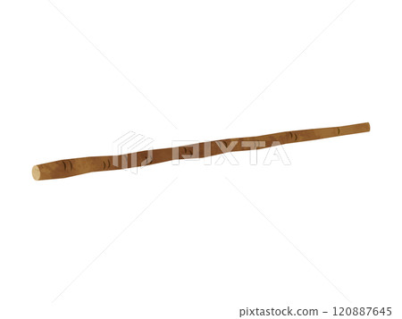 Vegetables Burdock Handwritten style 120887645