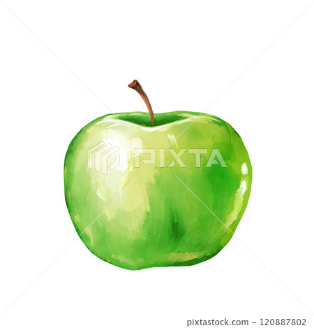 Fresh Green Apple Fruit hand drawn illustration Fresh Green Apple Fruit hand drawn illustration 120887802