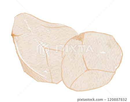 水彩畫的去皮芋頭、秋冬蔬菜向量圖解素材 120887832