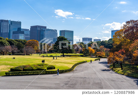 Searching for traces of autumn in Chiyoda Ward, Tokyo in late autumn 120887986